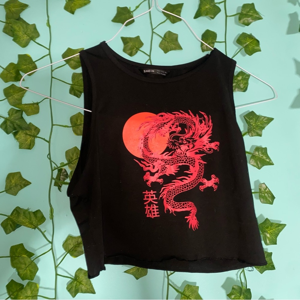 ❤️‍🔥3 / 30❤️‍🔥 Shein Dragon Crop top